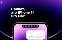 iPhone 14 Pro Max