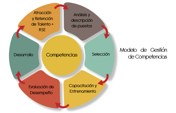 Arriba 96+ imagen modelo de gestion de personas