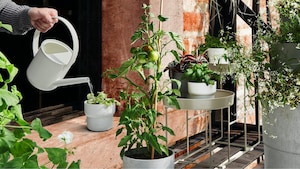 Outdoor pots & accessories