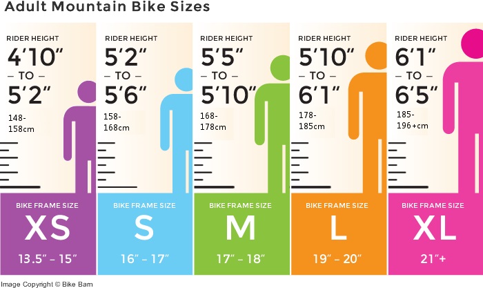 What Size Bike Should I Ride? - I Love Bicycling