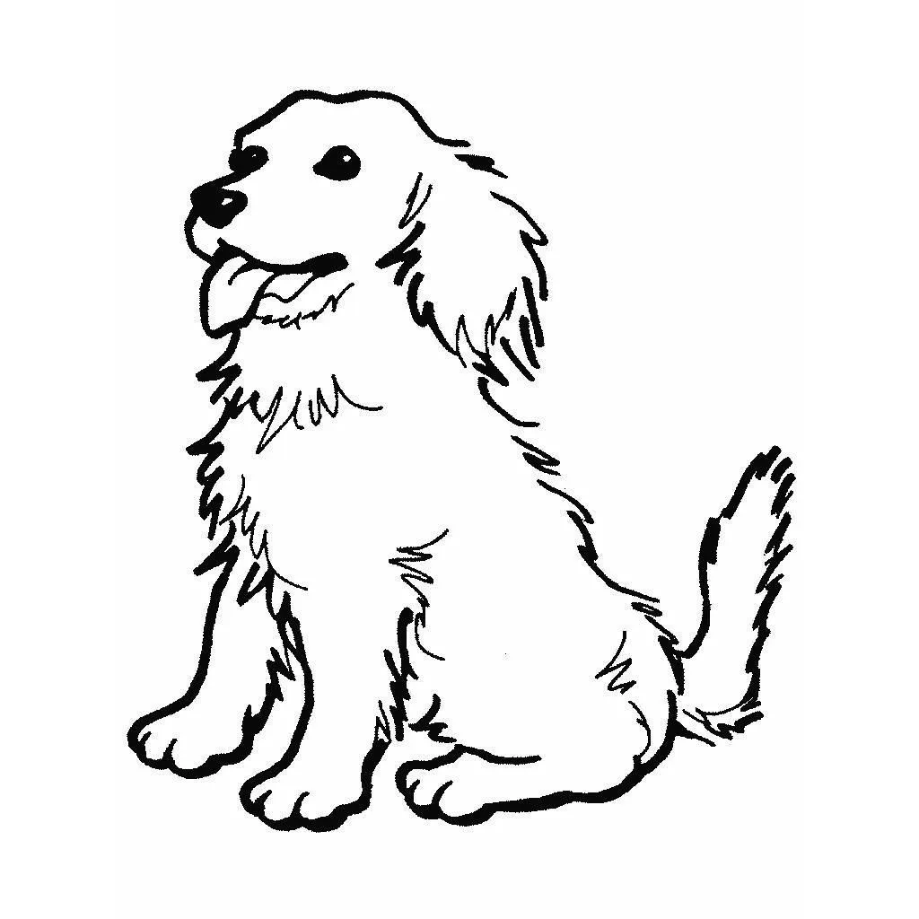 Dibujos de perros para pintar. Dibujos de perros para colorear