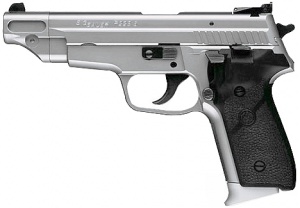 P229s.jpg