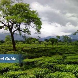 Tour and Travel Guide of Dooars | Incredible India