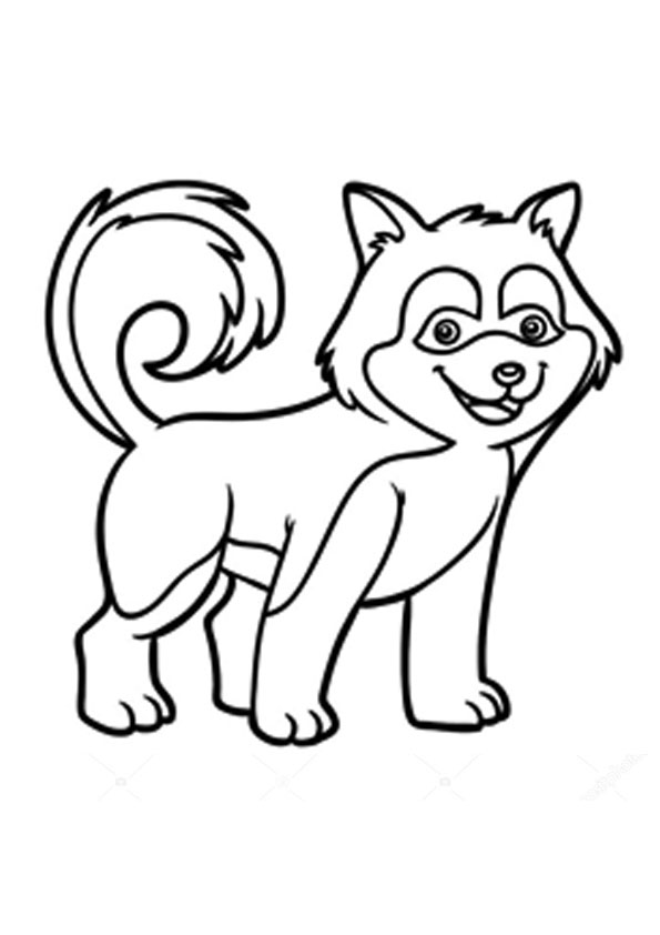 Printable Husky Puppy Coloring Pages Printable World Holiday