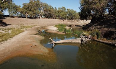 Murray Darling River