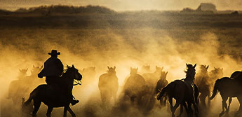 Freedom on the Range