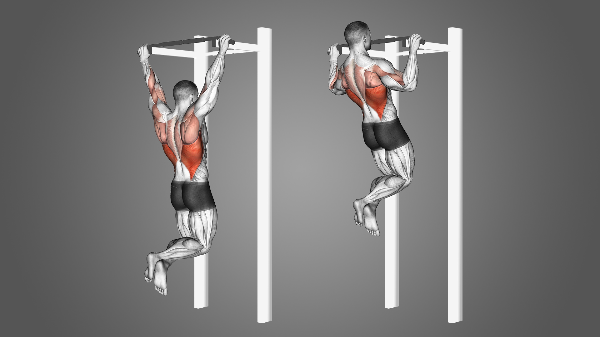 7 Best Pull-up Variations (with Pictures!) - Inspire US