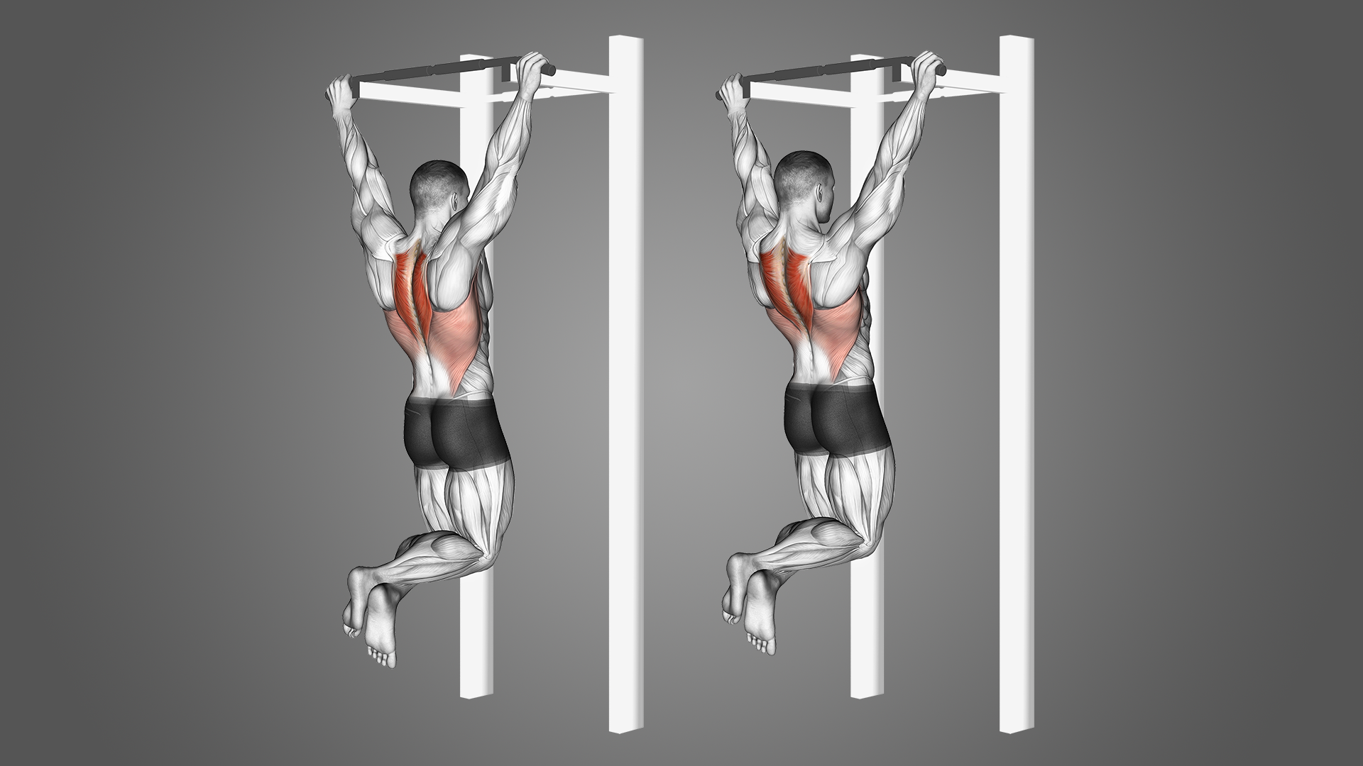 Scapular Pull Ups: Benefits, Muscles Worked, and More - Inspire US