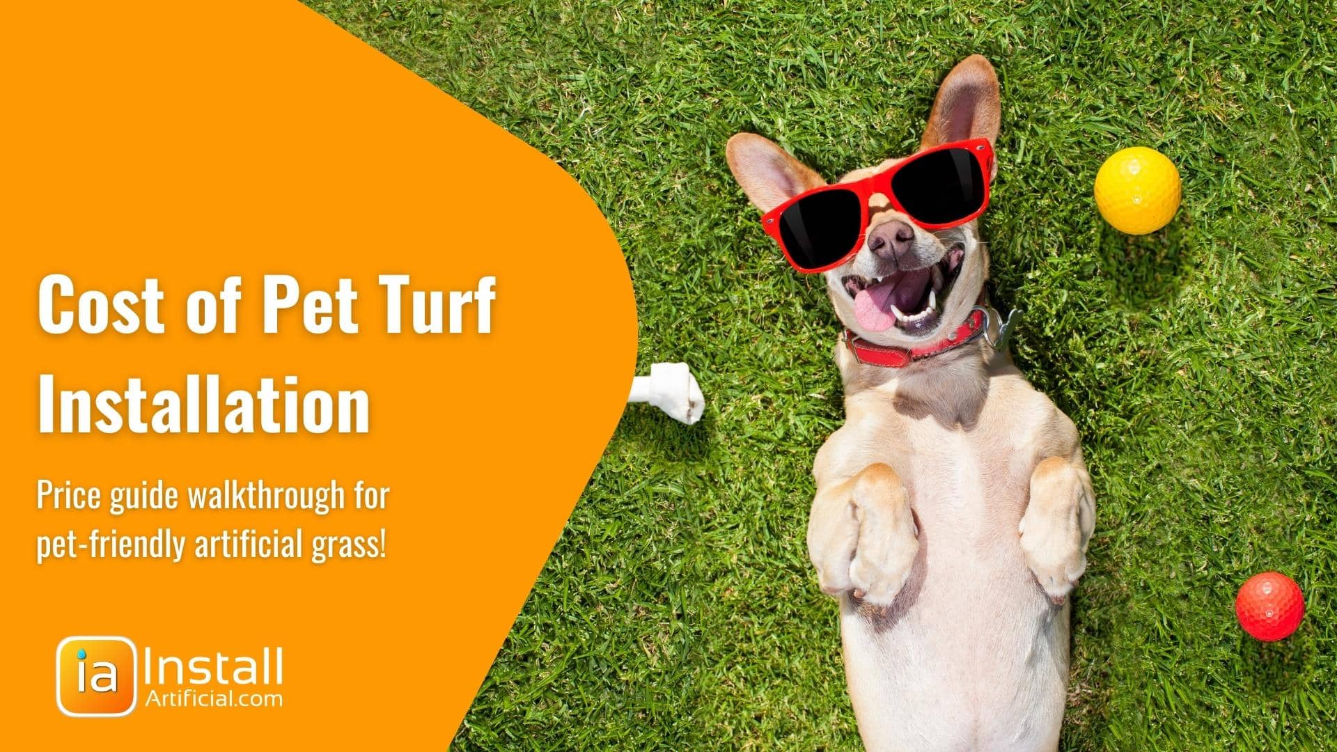 How Much Does it Cost to Install Pet Turf: 2024 Price Guide