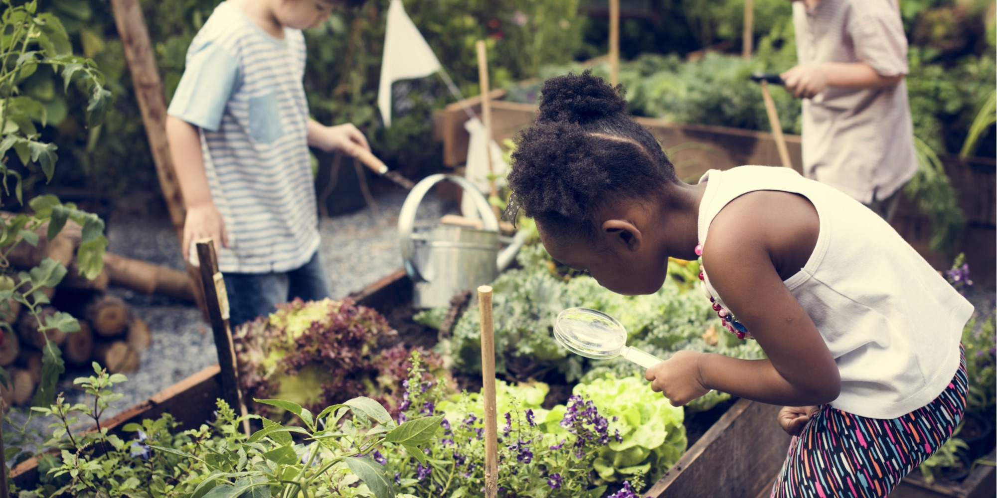 kids gardening tips