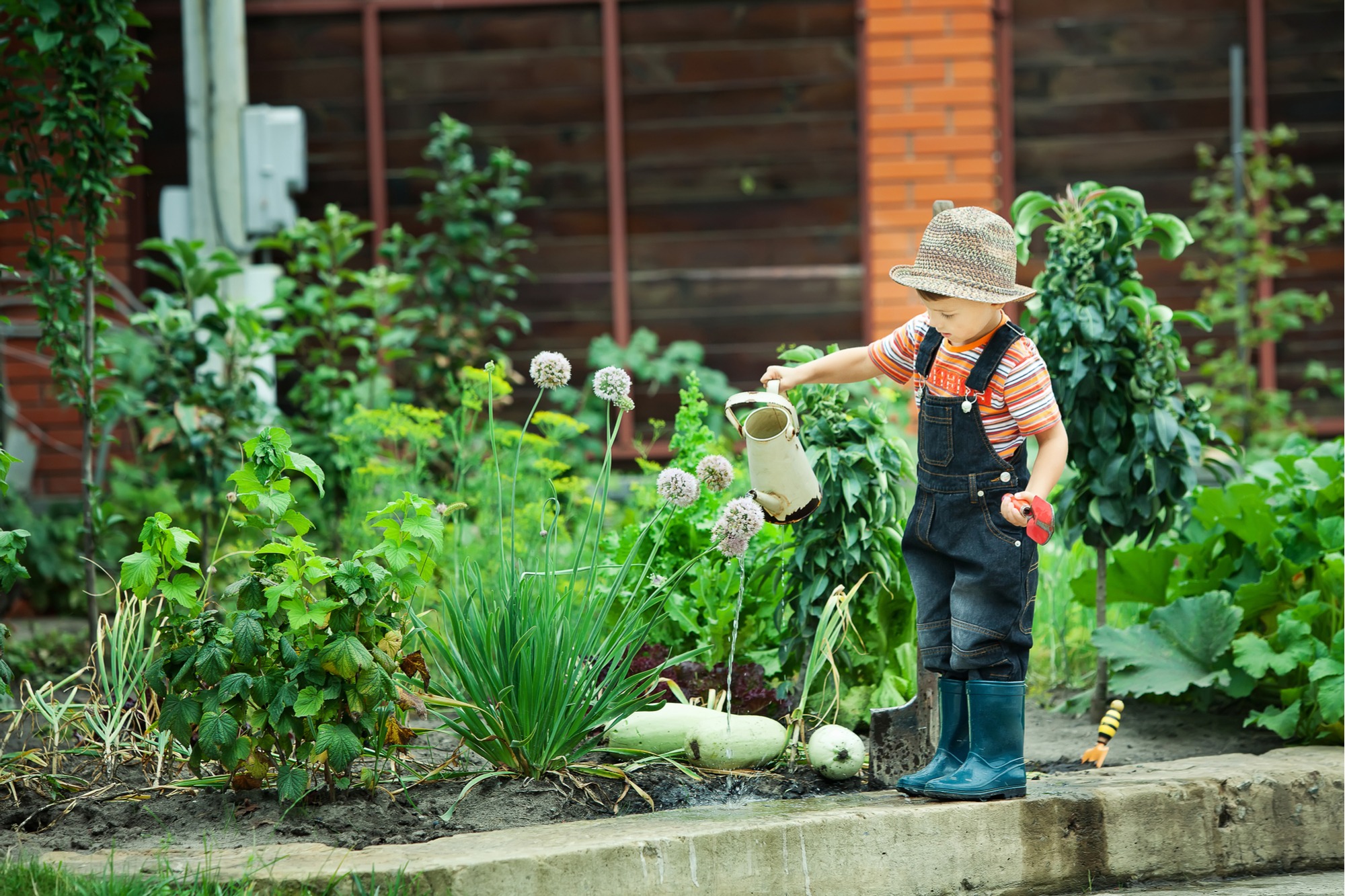 kids gardening