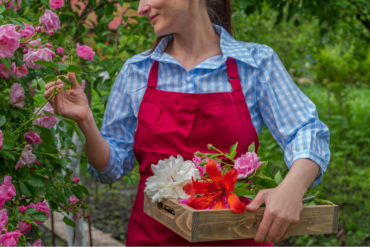 Cutting Garden Flower Bed