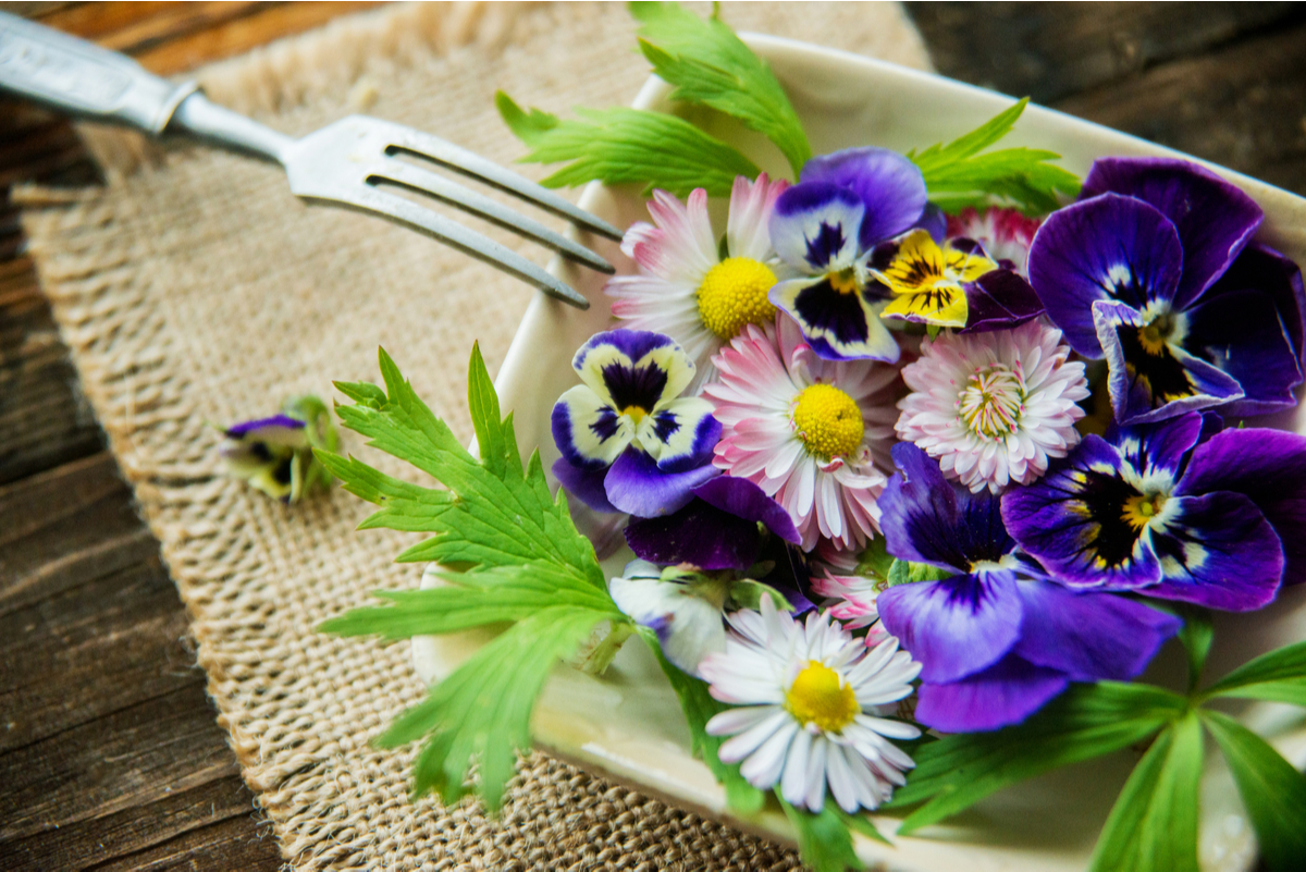 Edible Flower Beds