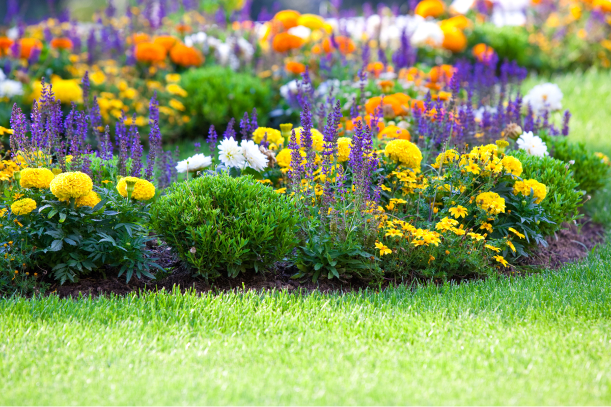 Island Flower Bed