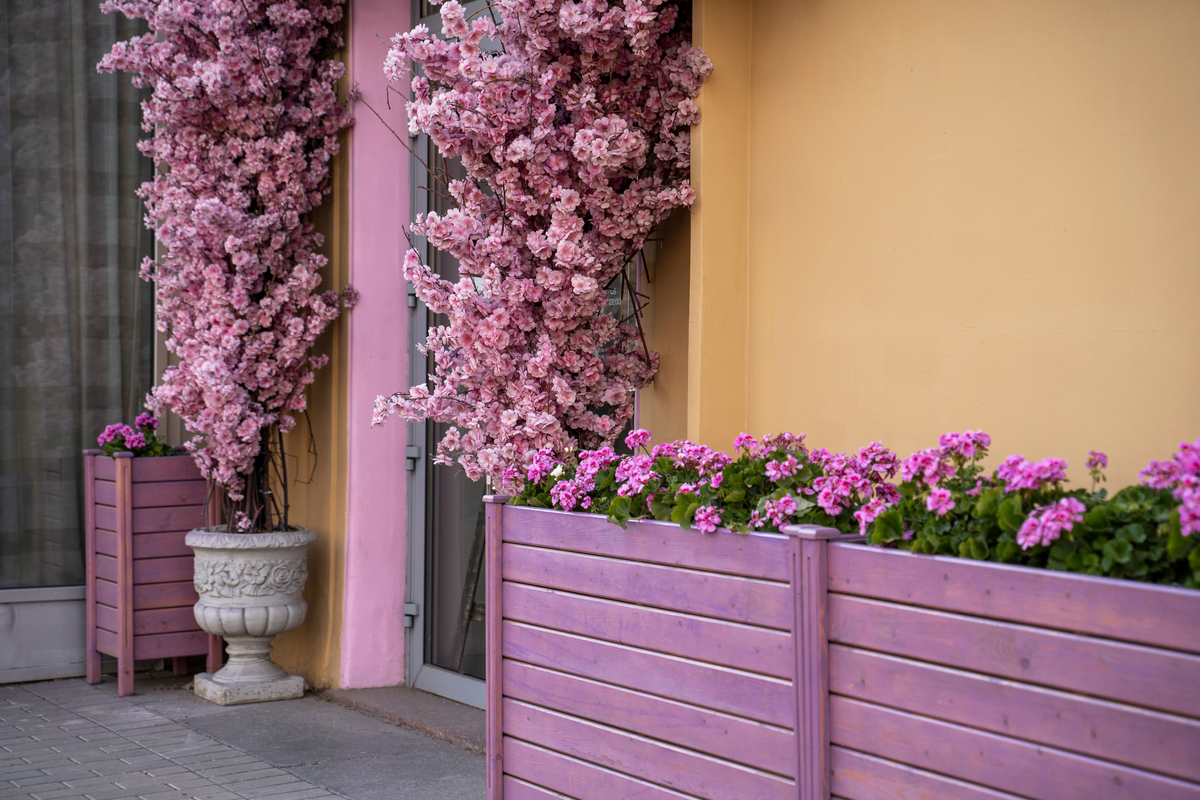 Monochromatic  Flower Bed