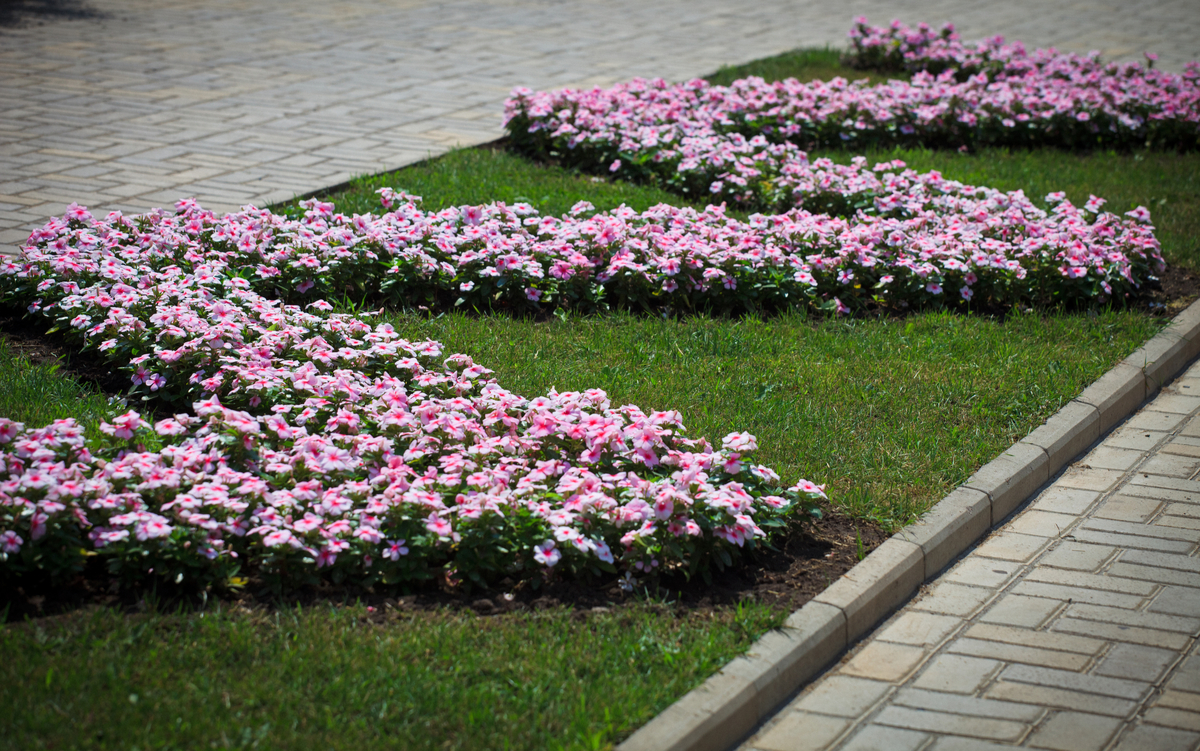 Patterned Flower Bed