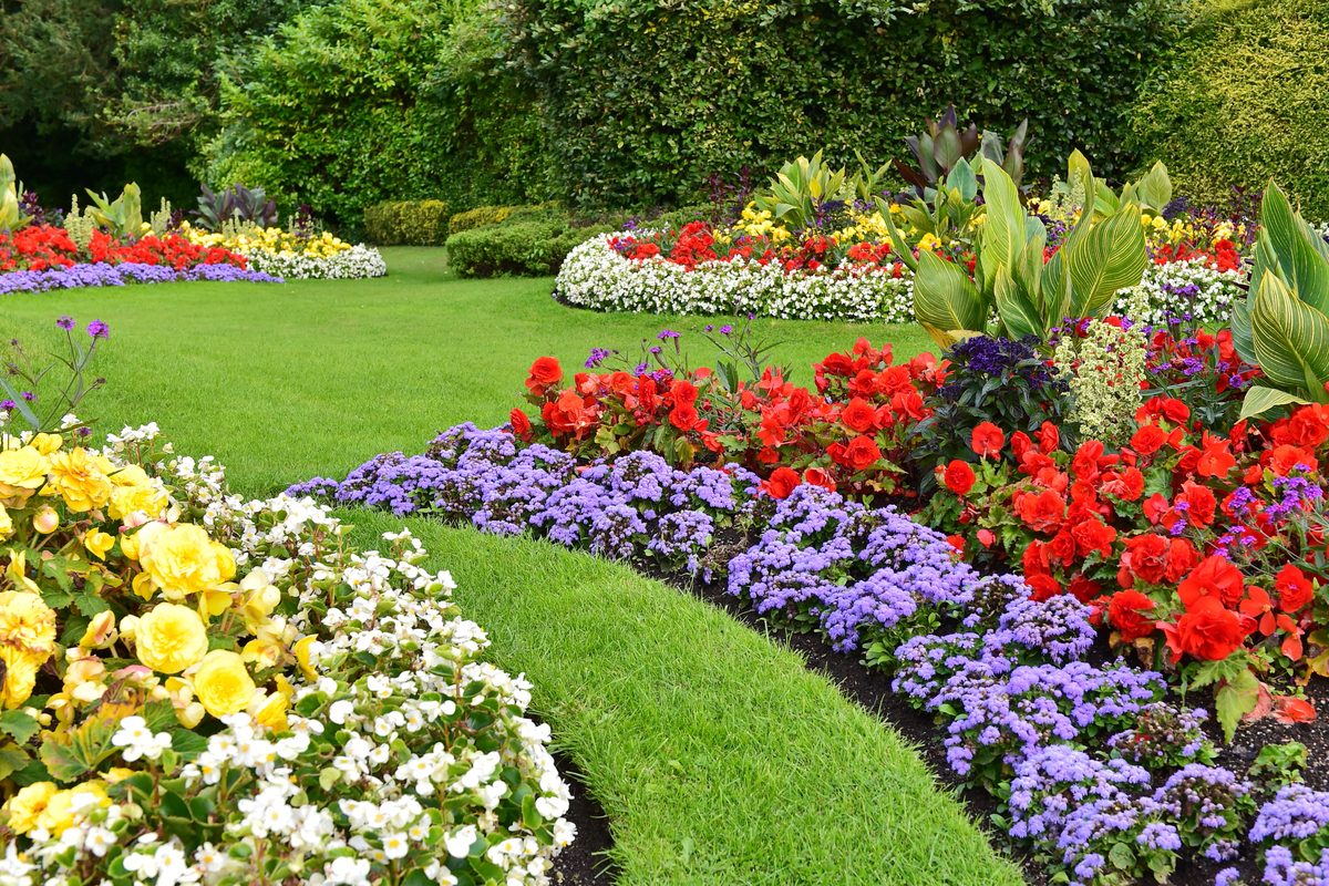 Vibrant Flower Bed