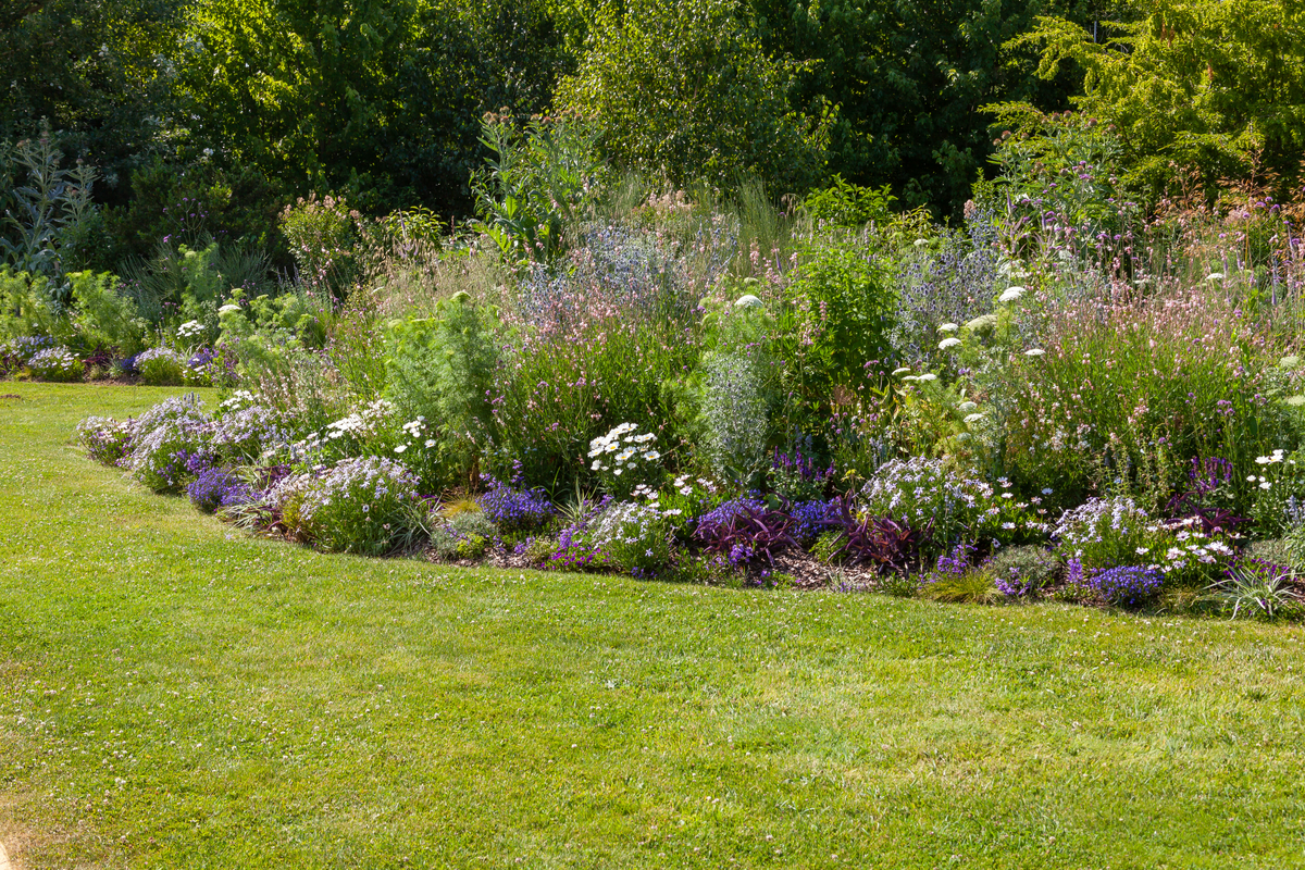 Wildflower Flower Bed