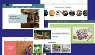 Instamojo top online store themes