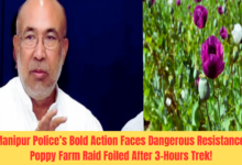 Manipur Police’s Bold Action Faces Dangerous Resistance: Poppy Farm Raid Foiled After 3-Hours Trek!