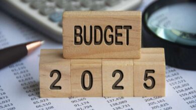 CII Wishlist for 2025 Budget