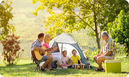 Portable inverter generator for picnic