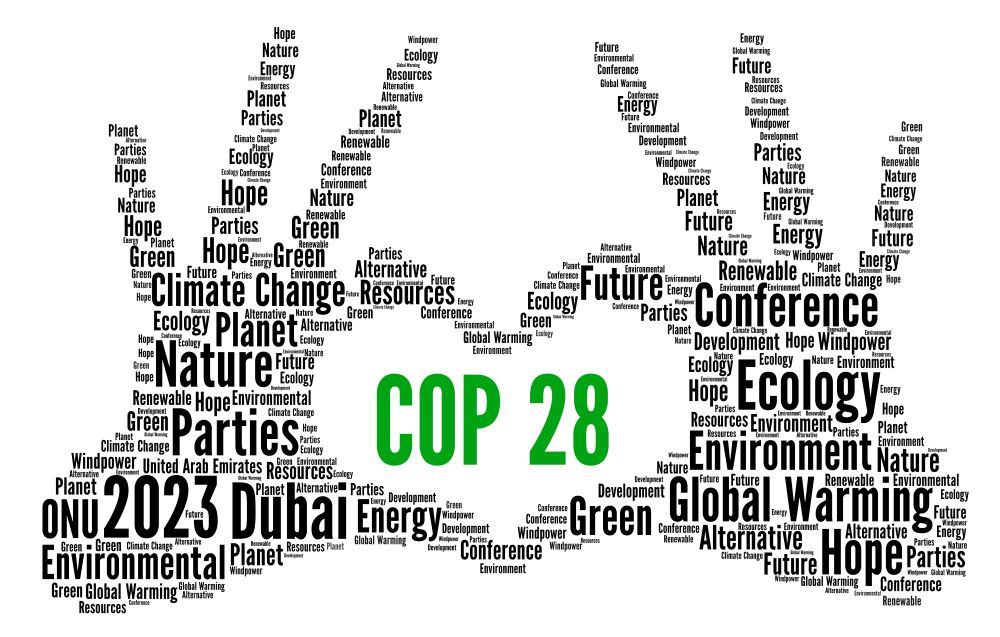 What Is The Cop 28 - Bab Carlynne