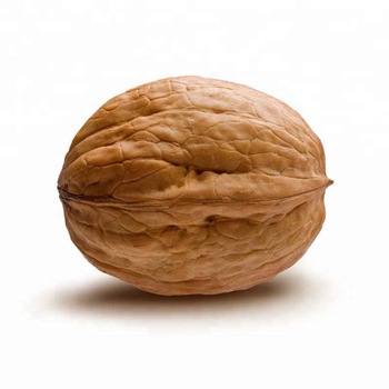 Walnuts-in-Shell