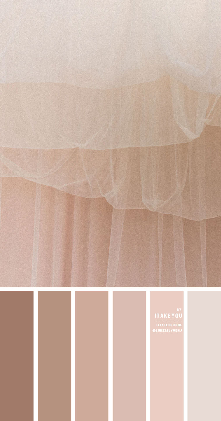 Neutral Colour Scheme  – Colour Palette #44