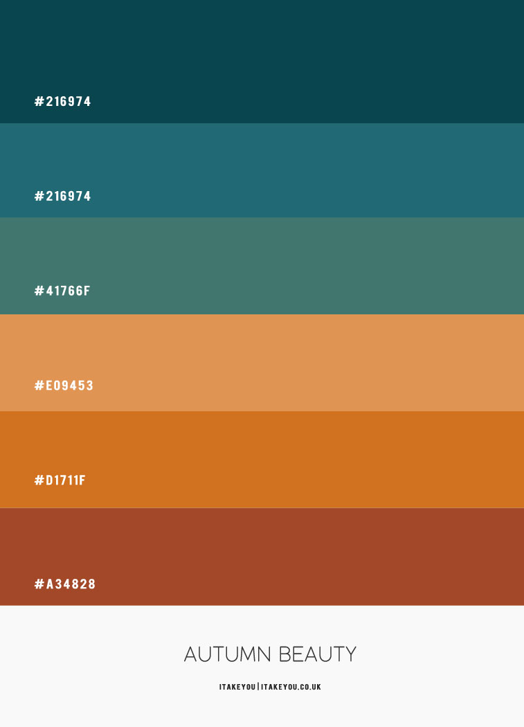 Autumn Color Palette And Scheme Hex Color Palette Vin - vrogue.co