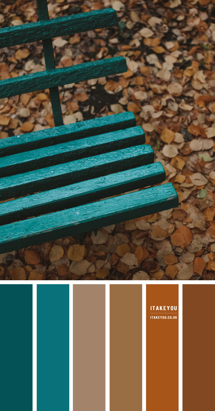 Brown and Teal Colour Scheme #Colour Palette 72