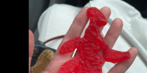 swedish fish