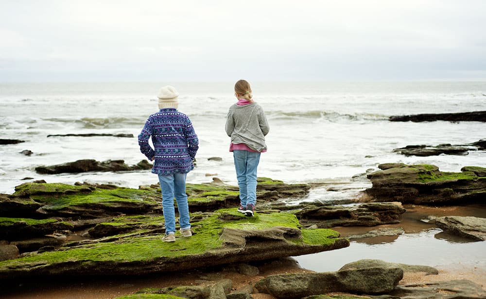 Rocky Beaches in North Florida