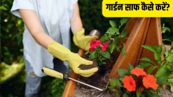 गार्डन साफ कैसे करें? जानें Garden Cleaning का सबसे सही फॉर्मूला