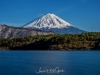 138-Mt-Fuji-Cherry-Blossom