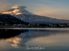 142-Mt-Fuji-Cherry-Blossom