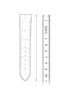 measure length watch strap ruler rule