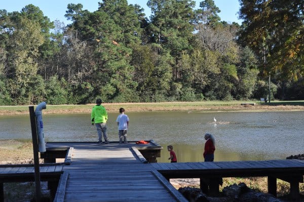 Burroughs Park Lake and Pier