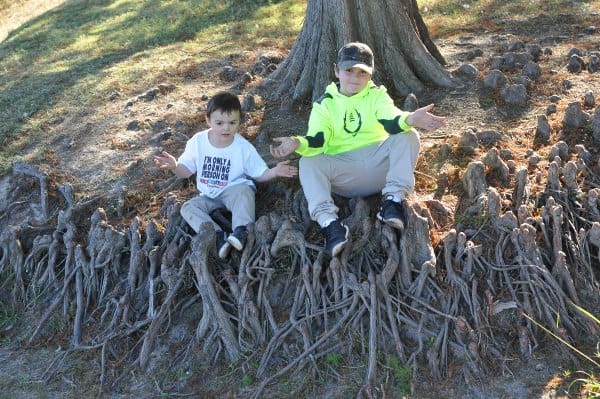 Burroughs Park Roots