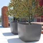 How To Use Large Outdoor Planters For Trees