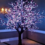 Outdoor Lighted Trees