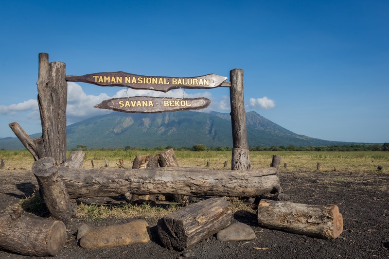 Banyuwangi - Taman Nasional Baluran