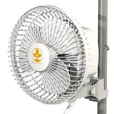 Secret Jardin Monkey Fan 16 W