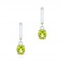 Drop Peridot Earrings - Three-Quarter View -  106364 - Thumbnail