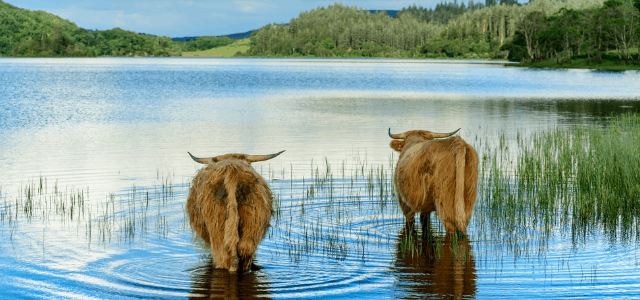 Top 10 Most Stunning Natural Features in the UK