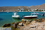 Karavostasis Folegandros - Island of Folegandros - Cyclades - Photo 304 - Photo JustGreece.com