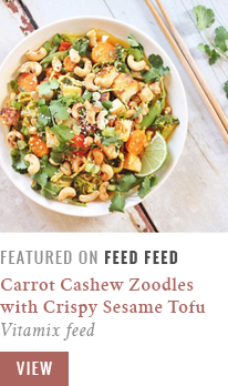 justine-celina_carrot-cashew-zoodles_vitamix-feed_feed-feed-feature