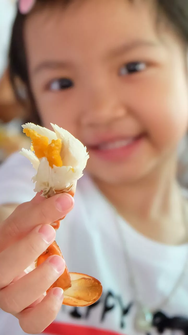 young child at crab feed holding up crab leg in front of the camera 