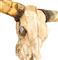 Texas Longhorn Steer Skull Rustic Lodge Reproduction Wall Mount Sculpture | Kathy Kuo Home