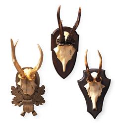 Alsace Hunt Club Reproduction Antler Wall Mount Trophy- Set of 3